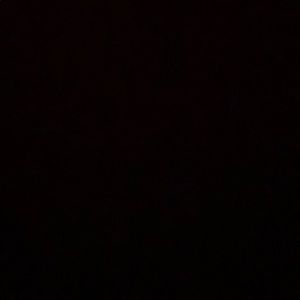 Meet your Posher, Nelson